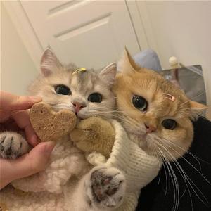 清空（抖音男版）（翻自 王忻辰/苏星婕）