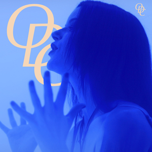 Love, I Tore it Apart