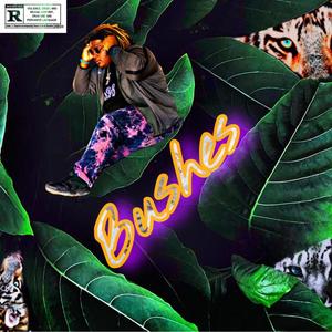 BUSHES