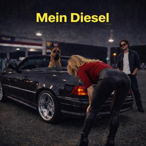 Mein Diesel