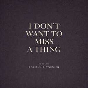 I Don't Want to Miss a Thing (Acoustic)