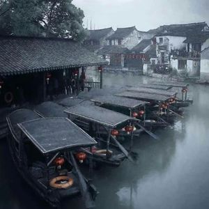 任时光在掌心发芽