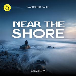 Near The Shore (Calm Flow)
