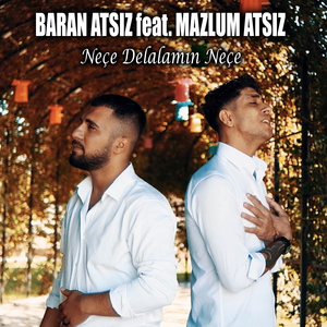 Neçe Delalamın Neçe