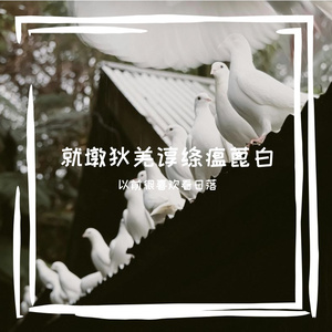 就墩狄羌谆绦瘟蓖白