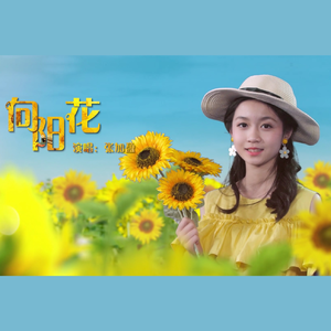 向阳花 (伴奏)