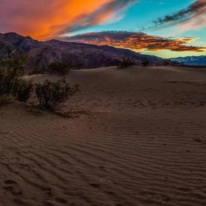 小阿倩音乐分享 (1)