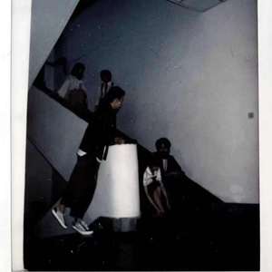 写给一群养鸟的人的歌