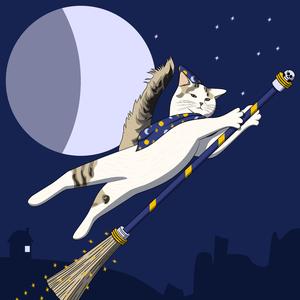 Dusk Till Dawn (LoFi Version)