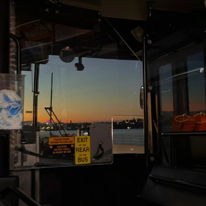 坠入爱河（Falling in love）