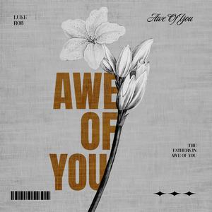 Awe of You