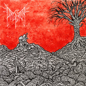 Liekki Tiemme Valaisee