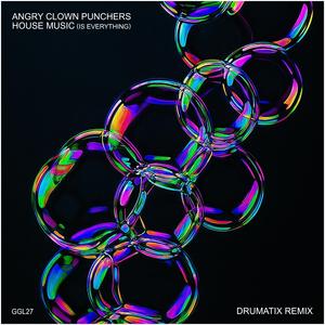 House Music (Is Everything) (Drumatix Remix)