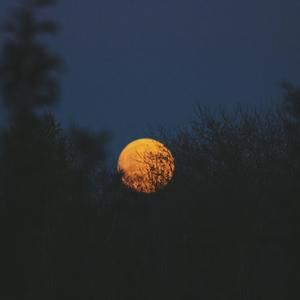 Reluctant (feat. Iriasona)