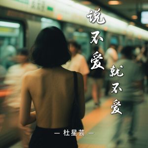 说不爱就不爱