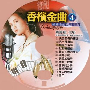 难忘初恋的情人