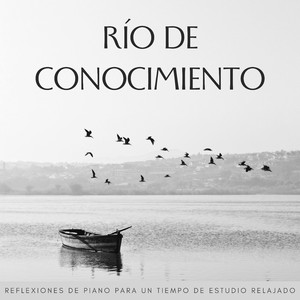 Rápido Renacimiento Del Río