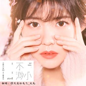 不渺小（翻自 火箭少女101赖美云）