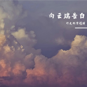 向云端告白