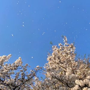 随风(Prod.Gr33nart Beats)