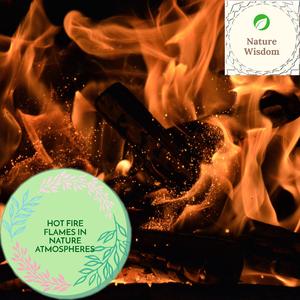 You, Me and Steady Campfire