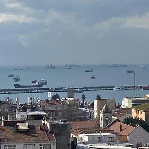 Diktläsning in i natten