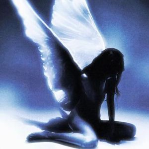 Electronic Butterfly