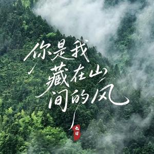 你是我藏在山间的风