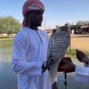 Same Place Freestyle