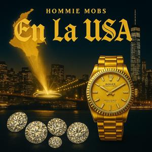 EN LA USA (feat. Aceitu & Zonas M.)
