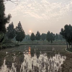 水声