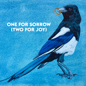 One For Sorrow (Two For Joy)
