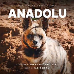 Zayıf Kuşların Sonu