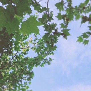 纯音∣轻快旋律∣满载快乐的列车向你使来