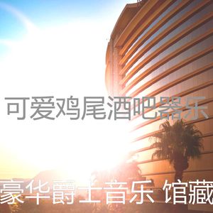 微妙的豪华心情