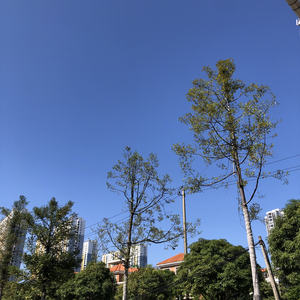 轰轰烈烈（cover汪昱名/汪好利来小蛋糕）