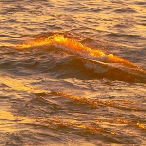 已经不会再流泪