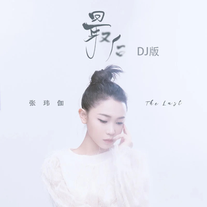 最后（DJ版）