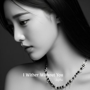 Shadows Swallow My Voice