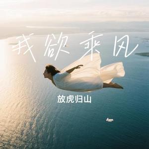 我欲乘风(Cover 辛有志)