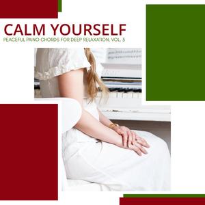 Romantic Piano Tunes (B Minor)