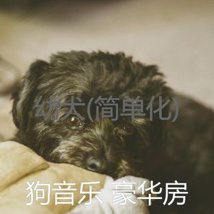 睡觉的小狗(微妙)