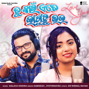 Tu Kain Ete Laguchhu Bhala