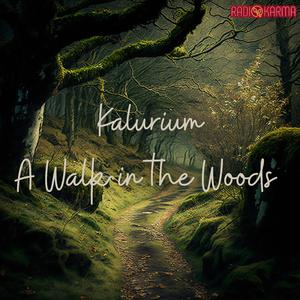 A Walk in the Woods