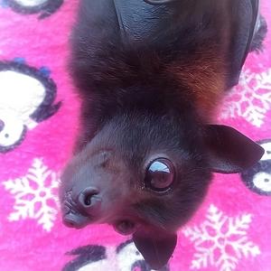 Для Тебя Часть 2