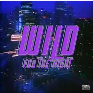 Wild For The Night