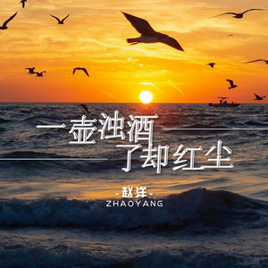 一壶浊酒了却红尘愁 (DJ默涵版)