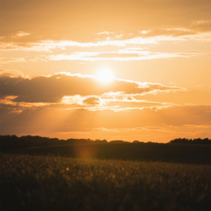 Sol tá de tarde pra