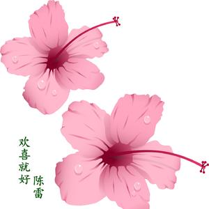 欢喜就好