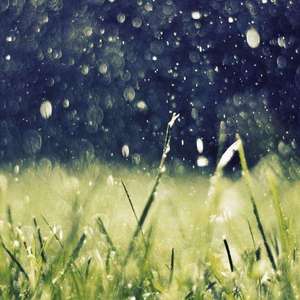 酒酿相思（Cover 檀烧）